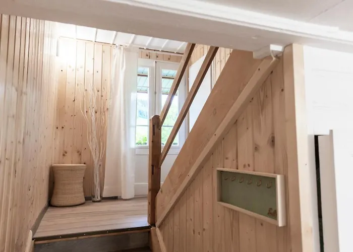 Donkey 113 * Degersheim