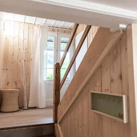 Donkey 113 * Degersheim