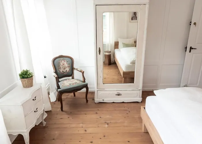 Donkey 113 * Degersheim